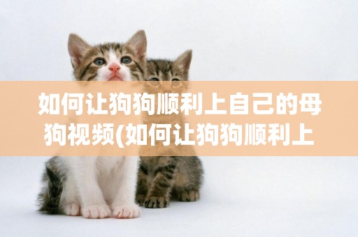 如何讓狗狗順利上自己的母狗視頻(如何讓狗狗順利上自己視頻) 