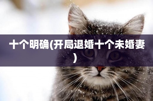 十個明確(開局退婚十個未婚妻) 