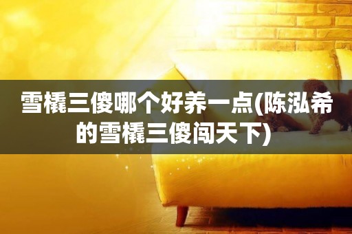 雪橇三傻哪個好養一點(陳泓希的雪橇三傻闖天下) 