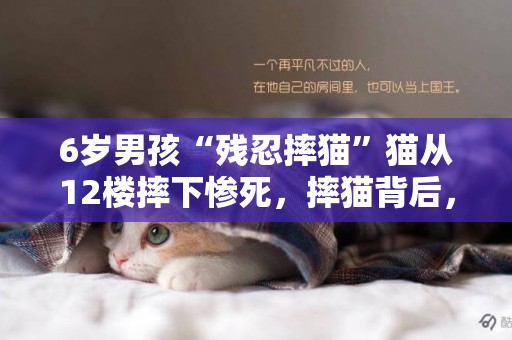 6歲男孩“殘忍摔貓”貓從12樓摔下慘死，摔貓背后，家長值得深思 