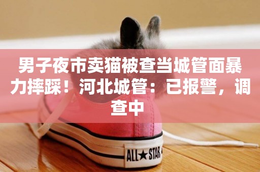 男子夜市賣貓被查當城管面暴力摔踩！河北城管：已報警，調查中 