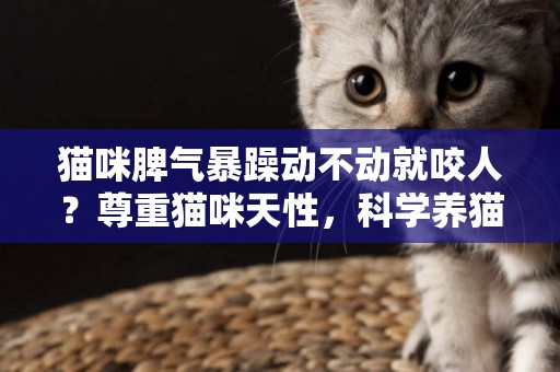貓咪脾氣暴躁動不動就咬人？尊重貓咪天性，科學養貓很重要 