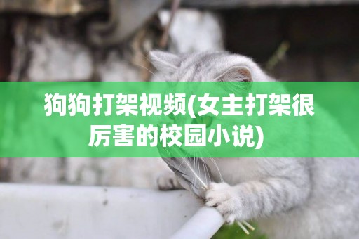 狗狗打架視頻(女主打架很厲害的校園小說) 