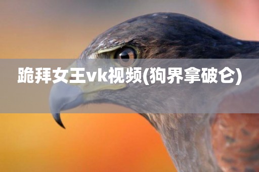 跪拜女王vk視頻(狗界拿破侖) 