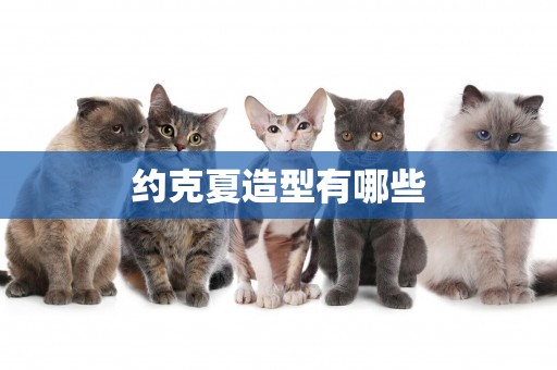 約克夏造型有哪些