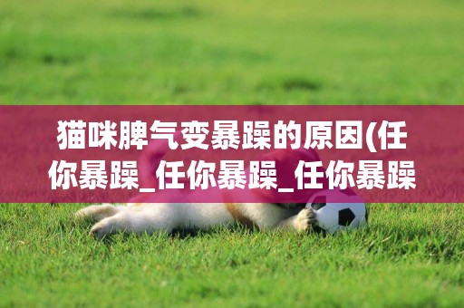 貓咪脾氣變暴躁的原因(任你暴躁_任你暴躁_任你暴躁) 