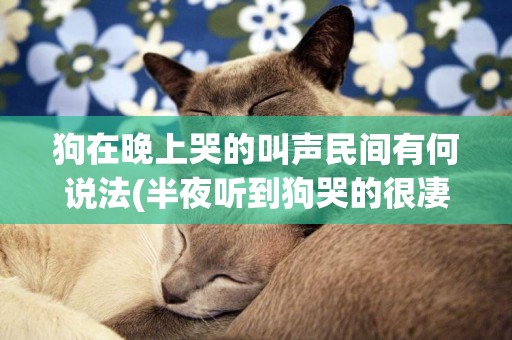 狗在晚上哭的叫聲民間有何說法(半夜聽到狗哭的很凄慘) 