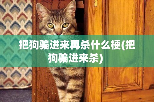 把狗騙進來再殺什么梗(把狗騙進來殺) 