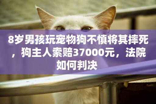 8歲男孩玩寵物狗不慎將其摔死，狗主人索賠37000元，法院如何判決 