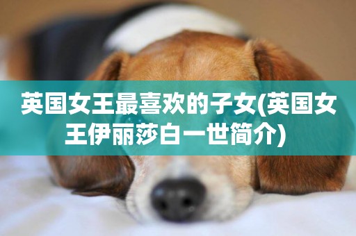 英國女王最喜歡的子女(英國女王伊麗莎白一世簡介) 