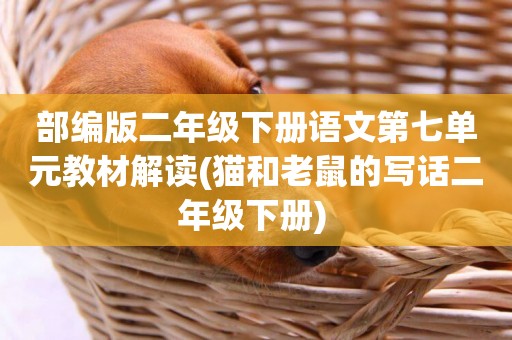 部編版二年級下冊語文第七單元教材解讀(貓和老鼠的寫話二年級下冊) 