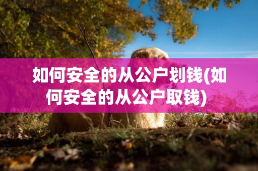 如何安全的從公戶劃錢(如何安全的從公戶取錢) 