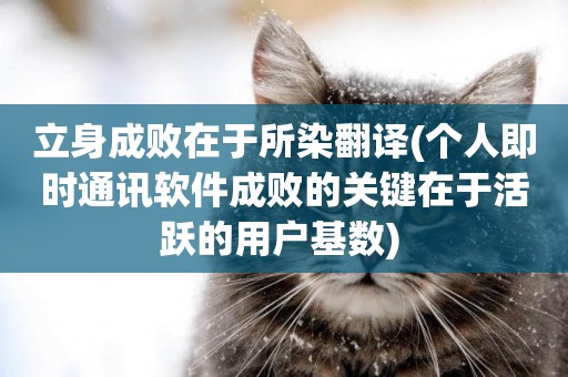 立身成敗在于所染翻譯(個人即時通訊軟件成敗的關鍵在于活躍的用戶基數) 