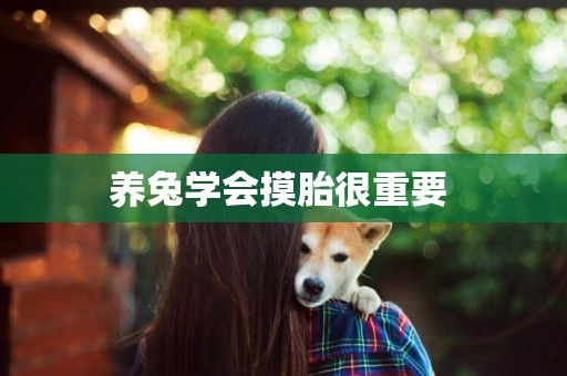養兔學會摸胎很重要 