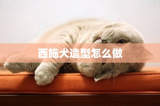 西施犬造型怎么做
