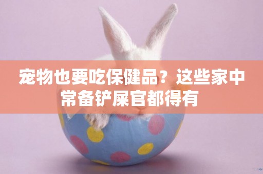 寵物也要吃保健品？這些家中常備鏟屎官都得有 