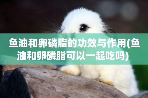魚油和卵磷脂的功效與作用(魚油和卵磷脂可以一起吃嗎) 