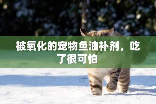 被氧化的寵物魚油補劑，吃了很可怕 