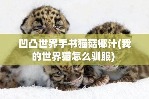 凹凸世界手書貓菇椰汁(我的世界貓怎么馴服) 