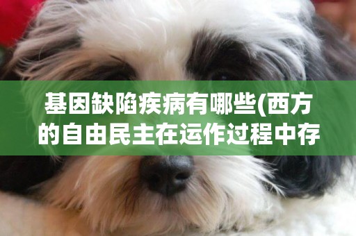 基因缺陷疾病有哪些(西方的自由民主在運作過程中存有基因缺陷有) 