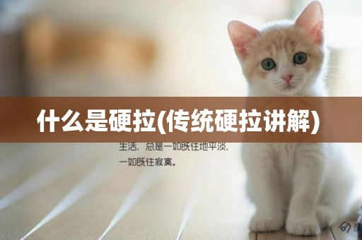 什么是硬拉(傳統硬拉講解) 