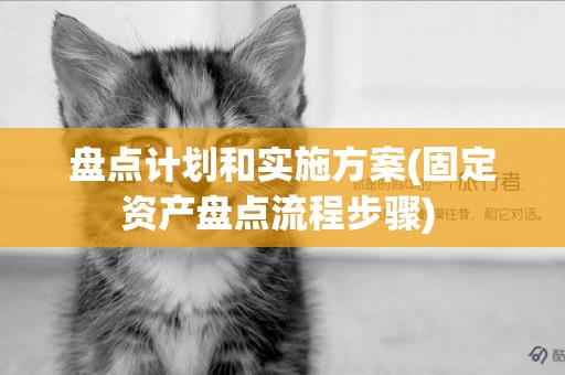 盤點計劃和實施方案(固定資產盤點流程步驟) 