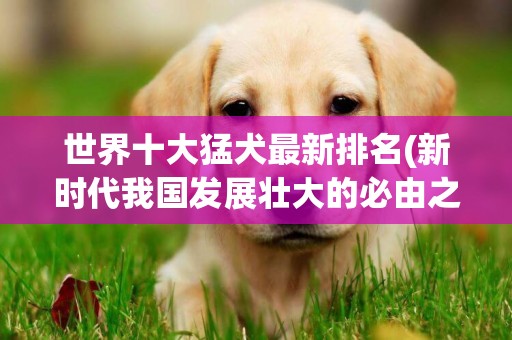世界十大猛犬最新排名(新時代我國發展壯大的必由之路) 
