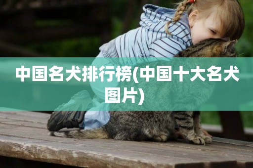 中國名犬排行榜(中國十大名犬圖片) 