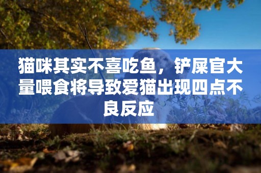 貓咪其實不喜吃魚，鏟屎官大量喂食將導致愛貓出現四點不良反應 