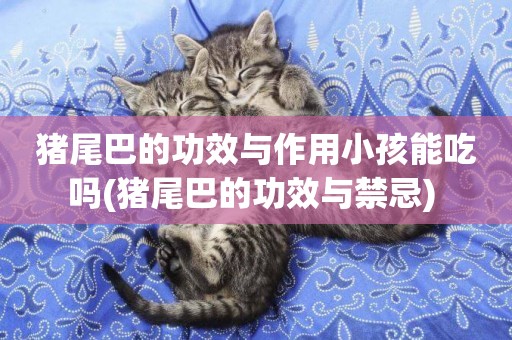 豬尾巴的功效與作用小孩能吃嗎(豬尾巴的功效與禁忌) 