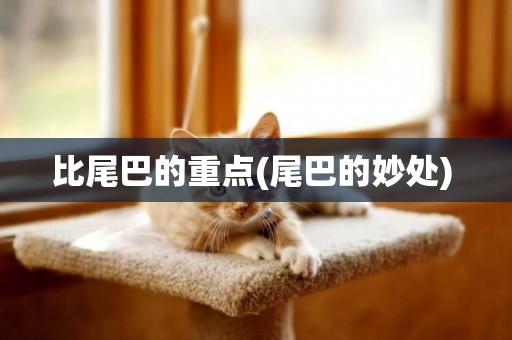 比尾巴的重點(尾巴的妙處) 