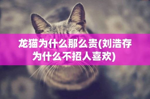 龍貓為什么那么貴(劉浩存為什么不招人喜歡) 