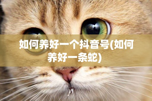 如何養好一個抖音號(如何養好一條蛇) 