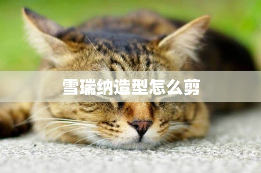 雪瑞納造型怎么剪
