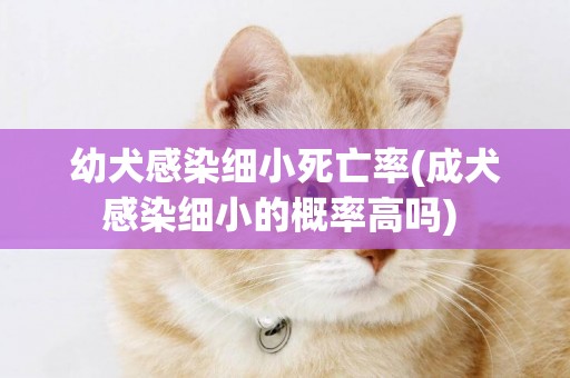 幼犬感染細小死亡率(成犬感染細小的概率高嗎) 