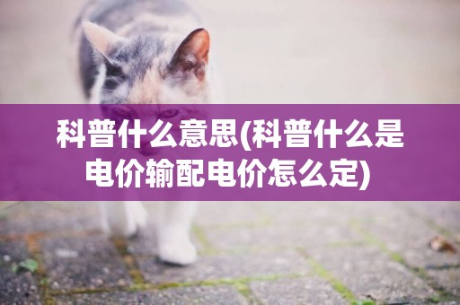 科普什么意思(科普什么是電價輸配電價怎么定) 