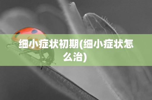 細小癥狀初期(細小癥狀怎么治) 