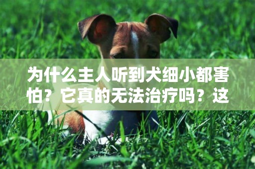 為什么主人聽到犬細小都害怕？它真的無法治療嗎？這5點能遠離它 