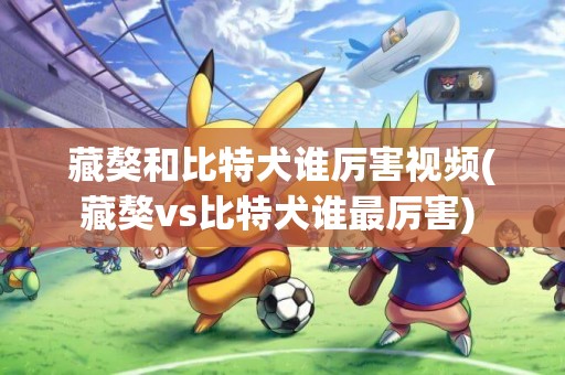 藏獒和比特犬誰厲害視頻(藏獒vs比特犬誰最厲害) 
