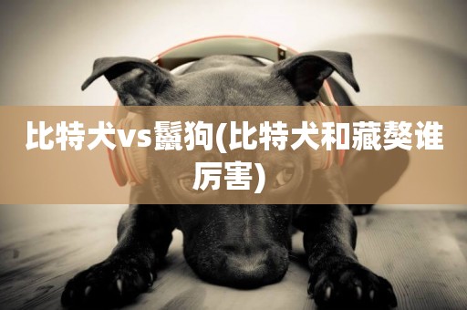 比特犬vs鬣狗(比特犬和藏獒誰厲害) 