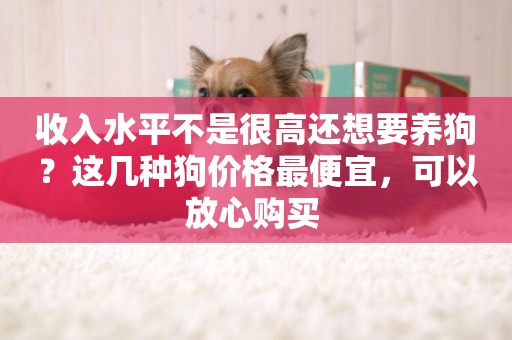 收入水平不是很高還想要養狗？這幾種狗價格最便宜，可以放心購買 