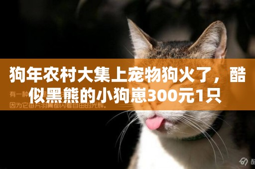 狗年農村大集上寵物狗火了，酷似黑熊的小狗崽300元1只 