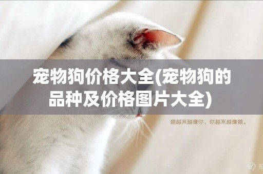 寵物狗價格大全(寵物狗的品種及價格圖片大全) 