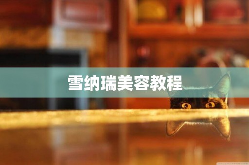 雪納瑞美容教程