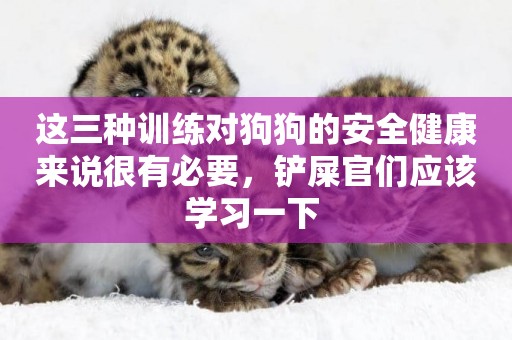 這三種訓練對狗狗的安全健康來說很有必要，鏟屎官們應該學習一下 