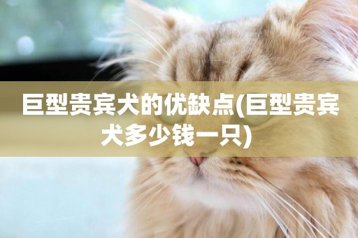 巨型貴賓犬的優缺點(巨型貴賓犬多少錢一只) 