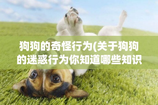 狗狗的奇怪行為(關于狗狗的迷惑行為你知道哪些知識) 