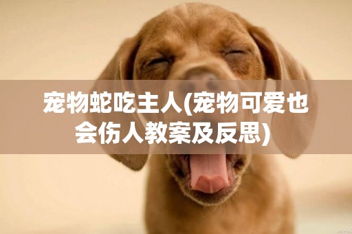 寵物蛇吃主人(寵物可愛也會傷人教案及反思) 