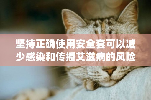 堅持正確使用安全套可以減少感染和傳播艾滋病的風險嗎(武林第一美人含淚吞吐) 