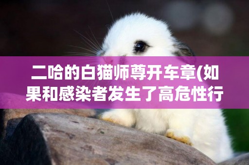 二哈的白貓師尊開車章(如果和感染者發生了高危性行為) 